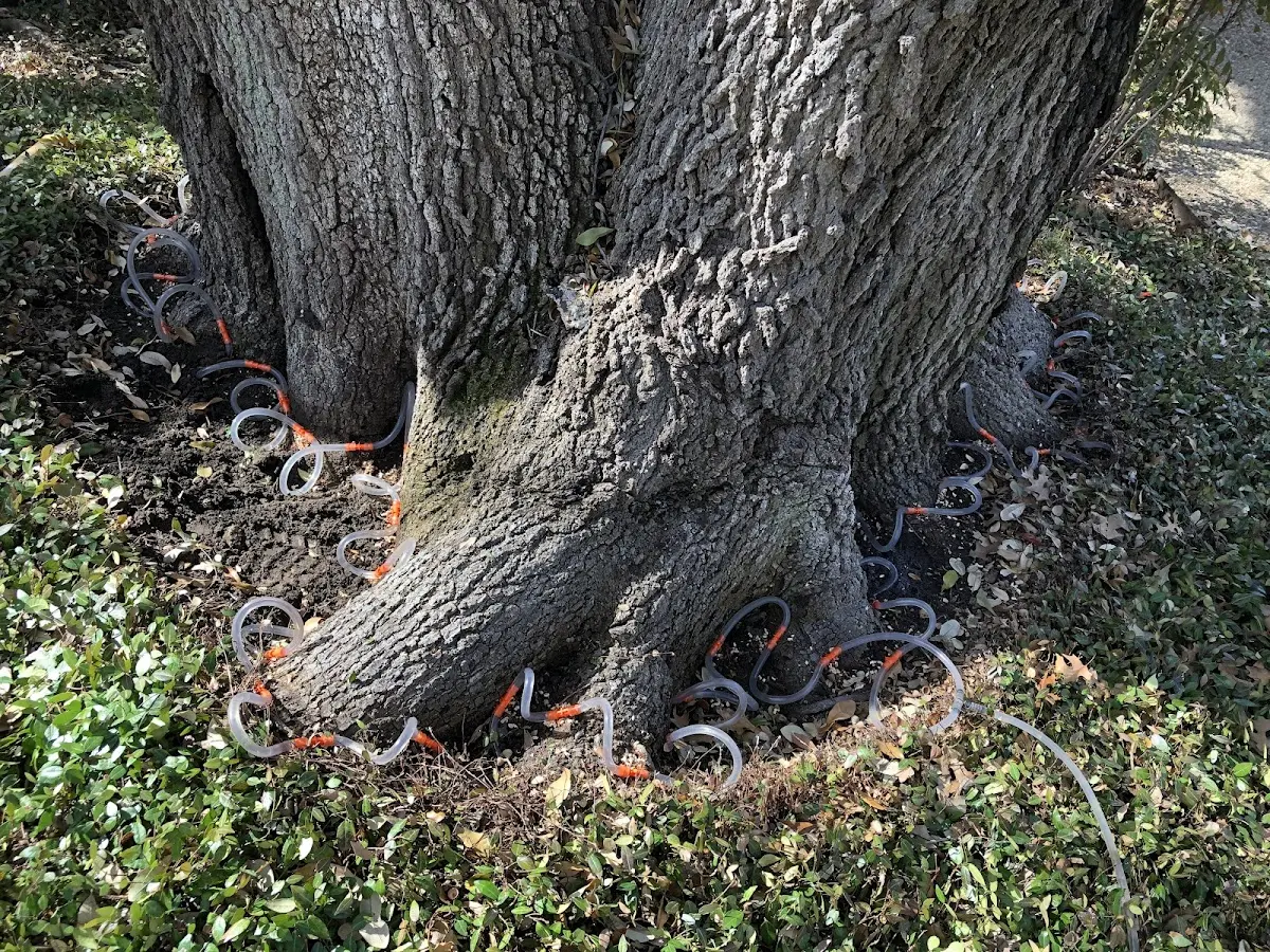 Detailed Shrub and Hedge Trimming job site in Au Train